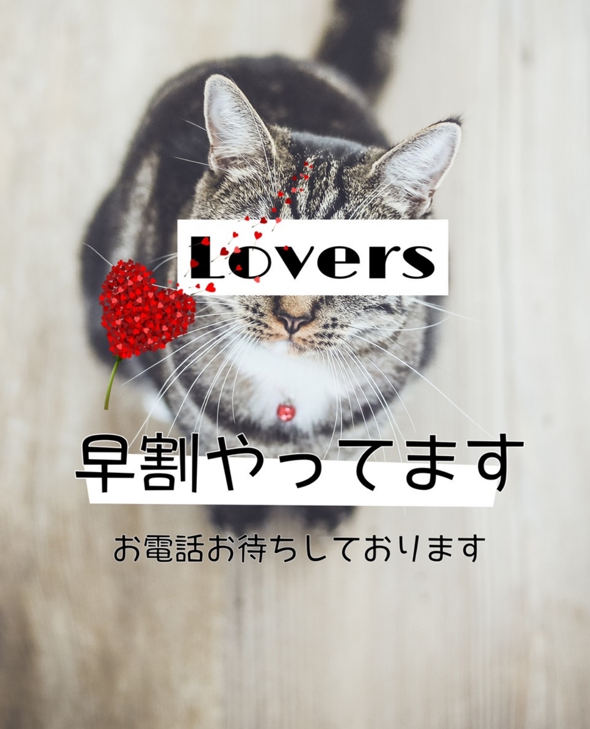 🌹Lovers🌹