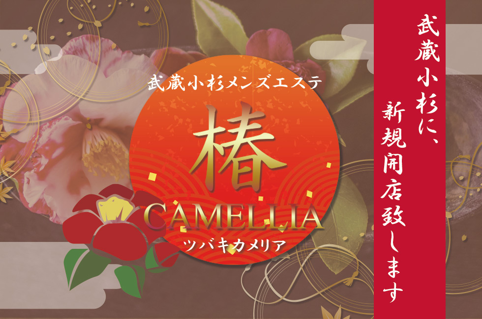 武蔵小杉メンズエステ 椿camellia ツバキカメリア